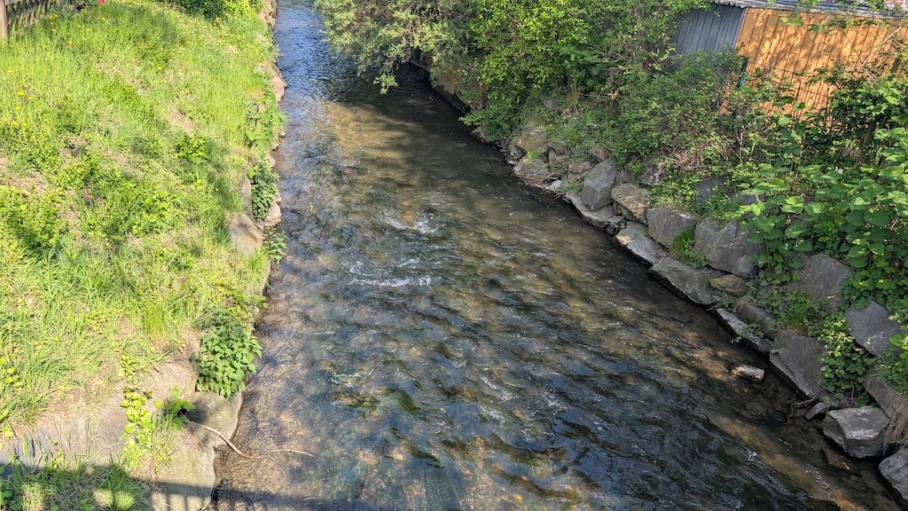 Auch die Anger fließt in den Dickelsbach. So ist alles mit allem verbunden © Gabriele Schreckenberg