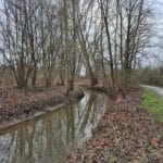 Öffentliche Gewässerschau am Schwarzbach: Bürger können teilnehmen