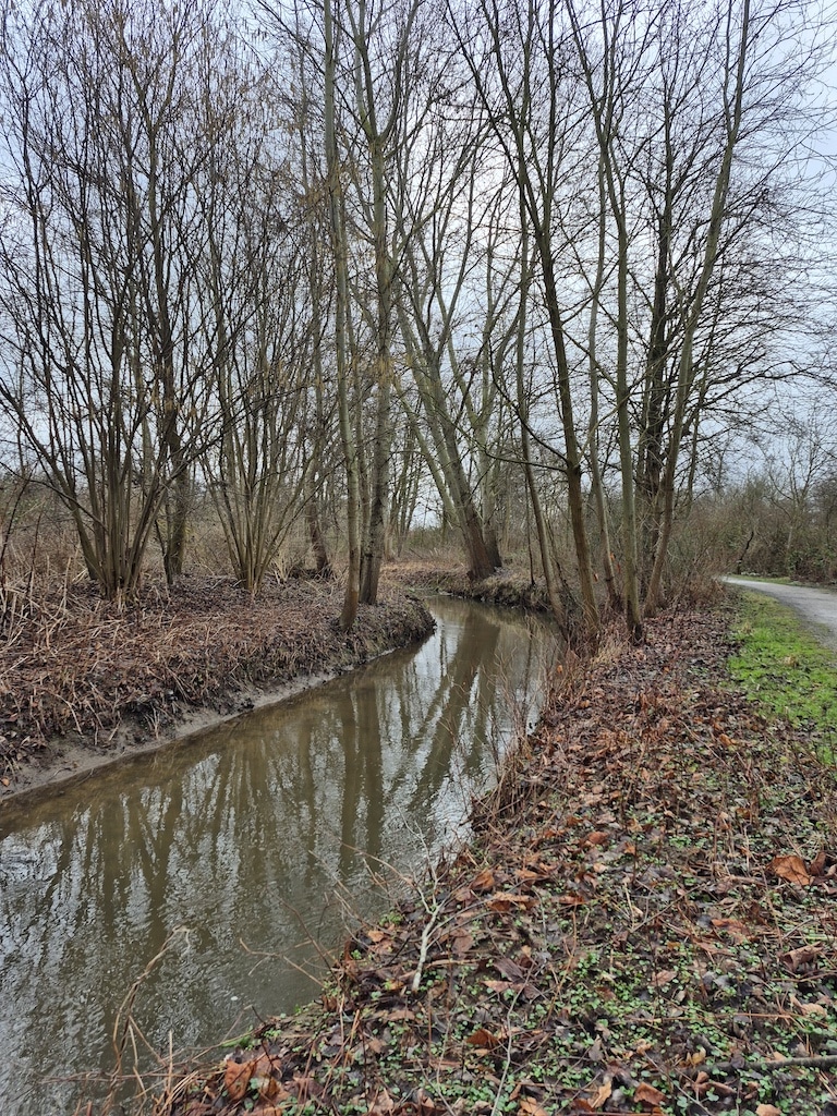 Schwarzbach Der Schwarzbach ist auf Düsseldorfer Stadtgebiet circa 9 Kilometer lang. Er fließt von der Stadtgrenze Ratingen vorbei am Flughafen und mündet in Düsseldorf-Wittlaer in den Rhein. © Amt für Umwelt- und Verbraucherschutz/Marcel Neuhaus