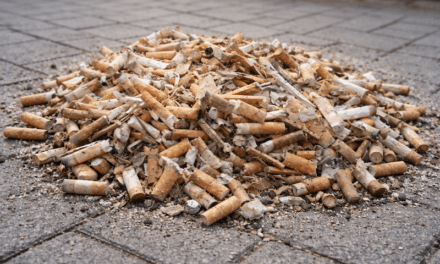 Detektivarbeit gegen achtlos weggeworfene Kippen