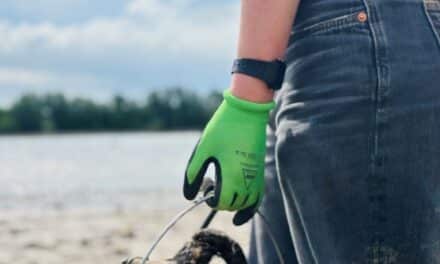 Müll sammeln und ins Museum kommen: Cleanup-Aktion am&nbsp;Rhein
