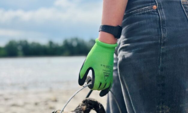 Müll sammeln und ins Museum kommen: Cleanup-Aktion am&nbsp;Rhein