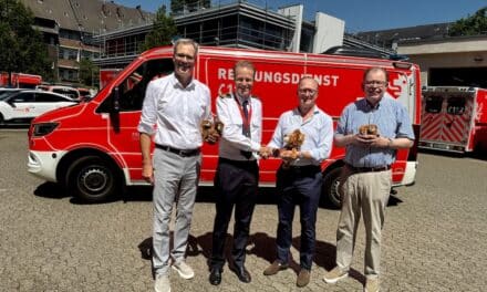 Kleine Löwen als große Tröster