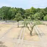 Premiere auf der Eventfläche nur zum Teil gelungen