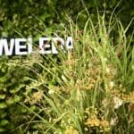 100 Jahre Skin Food: WELEDA feiert Jubiläum im Düsseldorfer City&nbsp;Spa