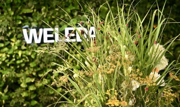 100 Jahre Skin Food: WELEDA feiert Jubiläum im Düsseldorfer City&nbsp;Spa