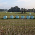 Noch viel Überzeugungsarbeit für neue Dorfmitte ‚Am Fettpott‘ in Angermund nötig