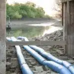 Feuerwehr kämpft in Lörick um das Überleben zahlreicher Fische