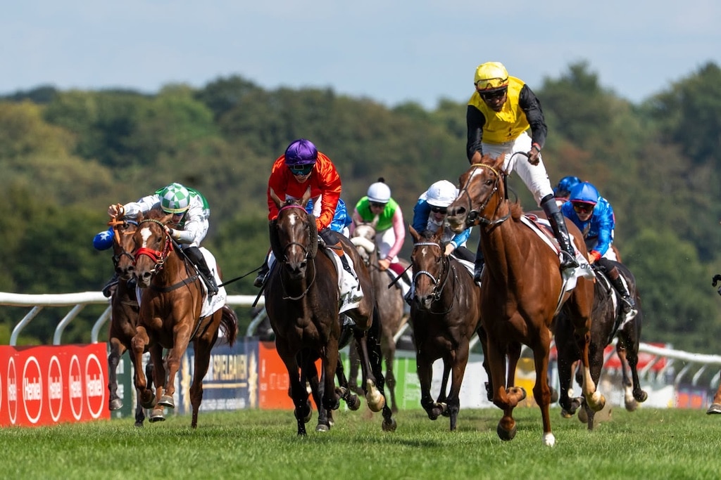 Soreanga mit Jockey Eduardo Pedroza auf dem Weg zu einem klaren Sieg. Die Stute startet für das Gestüt Fährhof aus Sottrum. © LB / Olaf Oidtmann