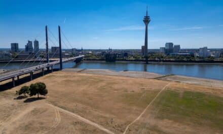 Rhein-Pegel in Düsseldorf unter null: Frachtschiff steckt im Hafen&nbsp;fest