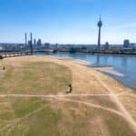 Der Rhein zieht sich zurück: Düsseldorf erlebt historischen Tiefstand