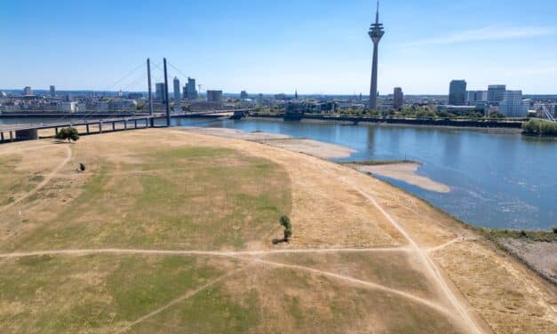 Der Rhein zieht sich zurück: Düsseldorf erlebt historischen Tiefstand