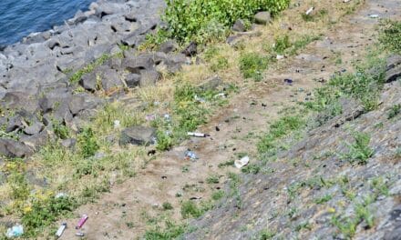53.000 Müllteile täglich: Düsseldorfs RhineCleanUp wird wichtiger denn&nbsp;je