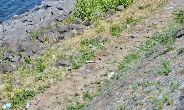 53.000 Müllteile täglich: Düsseldorfs RhineCleanUp wird wichtiger denn&nbsp;je
