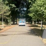 Hitzewelle setzt Bäumen zu: Gartenamt bewässert rund 16.000 Bäume in Düsseldorf