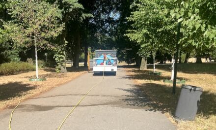 Hitzewelle setzt Bäumen zu: Gartenamt bewässert rund 16.000 Bäume in Düsseldorf