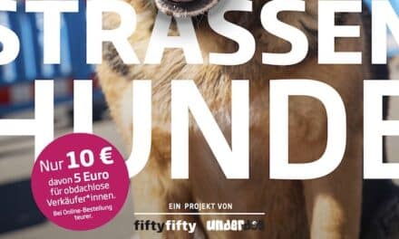 Straßenhunde blicken vom neuen Kalender: fiftyfifty-Aktion startet mit Fotos aus Hundeperspektive