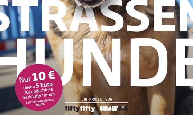 Straßenhunde blicken vom neuen Kalender: fiftyfifty-Aktion startet mit Fotos aus Hundeperspektive