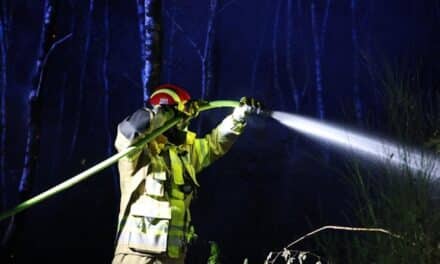 Düsseldorfer Feuerwehrkräfte im Großeinsatz gegen Waldbrände im Kreis&nbsp;Düren