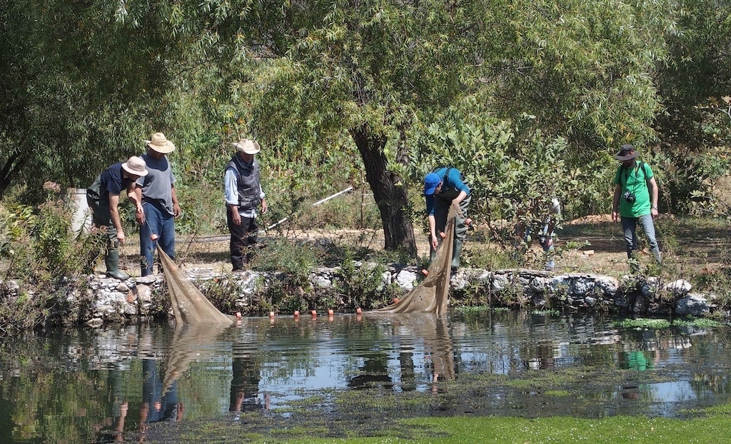 Die Flusswächter von Teuchitlán tragen durch ihr umfangreiches Engagement zum Erhalt vieler bedrohter Arten bei. © Dr. Günther Schleussner