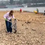 RhineCleanUp: Düsseldorf holt erneut 30 Tonnen Müll aus dem&nbsp;Rhein