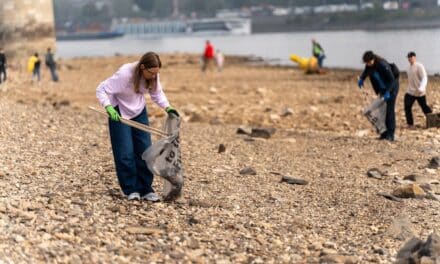 RhineCleanUp: Düsseldorf holt erneut 30 Tonnen Müll aus dem&nbsp;Rhein
