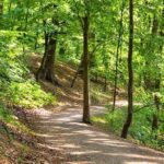 Wald-Klima-Pfad im Aaper Wald ist fertiggestellt