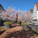 Weckruf für den Kaiserswerther Markt