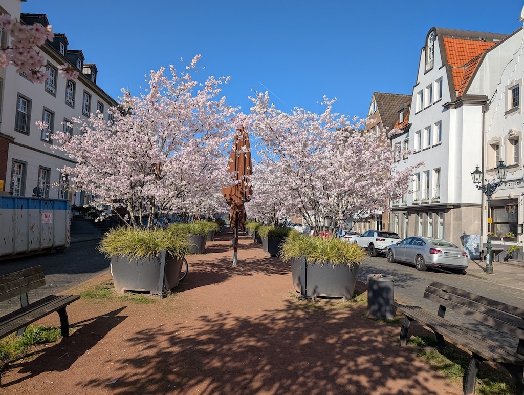 Auch die Kirschblüten helfen nicht über das marode Bild des Kaiserswerther Markts hinweg © Gabriele Schreckenberg
