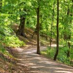 Wald-Klima-Pfad im Aaper Wald ist fertiggestellt