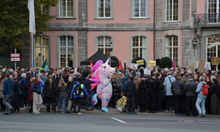 Rund 2000 Menschen protestieren in Düsseldorf gegen&nbsp;AfD