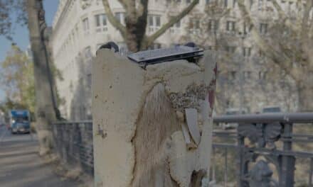 Augmented Reality an der Kö: „Sediment“ macht die Bastionsbrücke zum Blick in die Zukunft