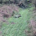 Öffentliche Gewässerschau am Schwarzbach: Interessierte können kostenlos mitgehen