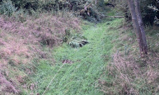 Öffentliche Gewässerschau am Schwarzbach: Interessierte können kostenlos mitgehen