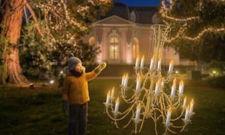 Die leuchtenden Gärten auf Schloss Benrath: Winterlicher Lichterzauber zwischen alten Baumkronen