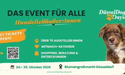 Düsseldorf bekommt eine Hundemesse: DüsselDog Days feiern Premiere